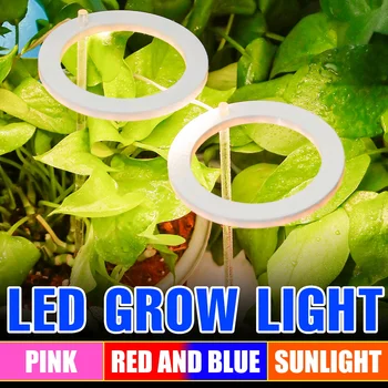 Led Grow Light Fito Lempos Augalams Lemputė Pilno Spektro Lempa Augimo Šviesos Hydroponics Apšvietimo USB Šiltnamio efektą sukeliančių Patalpų Gėlių Sėklos